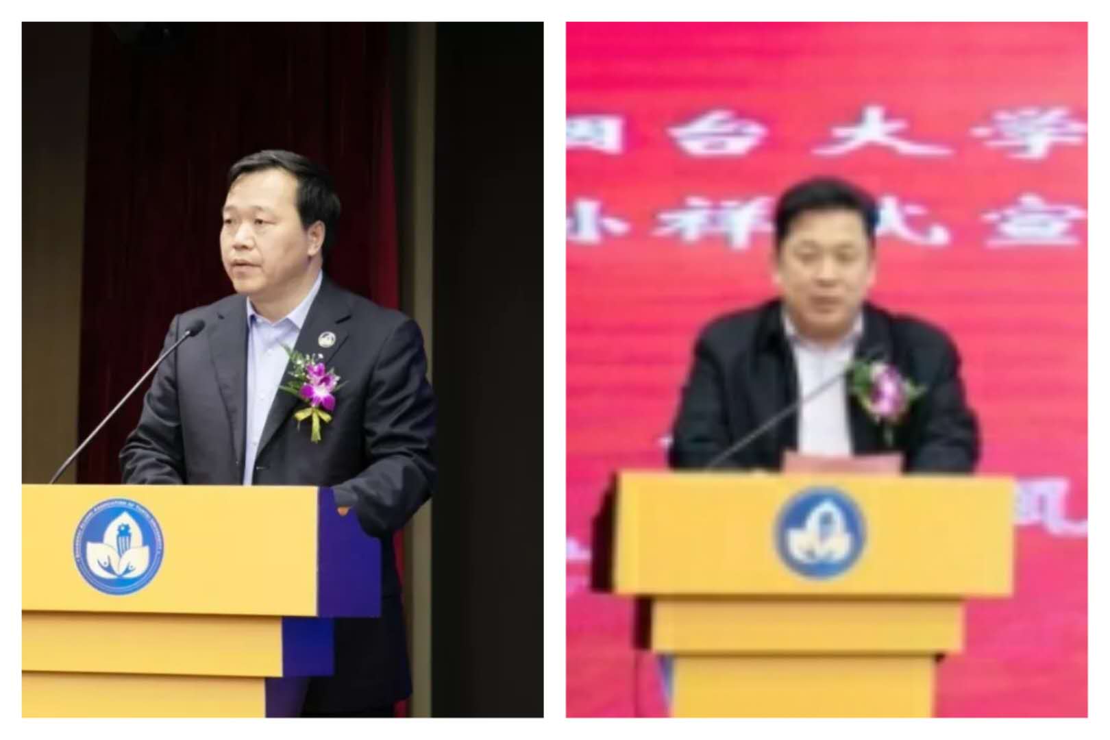 百家乐平台推荐